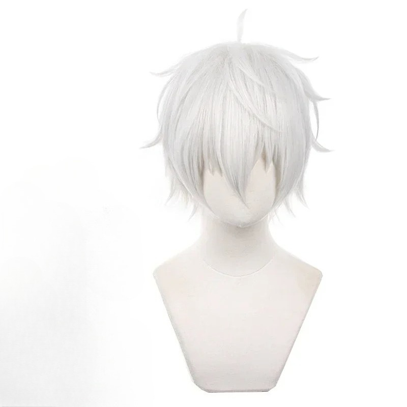 Cosplay Anime White Hair - 애니메이션 세이시로 나기 코스프레 가발 실버