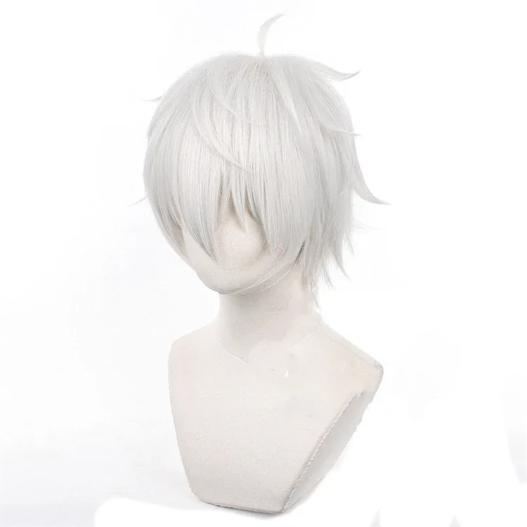 애니메이션 세이시로 나기 코스프레 가발 실버 화이트 3 - Cosplay Anime White Hair 리뷰 및 가격