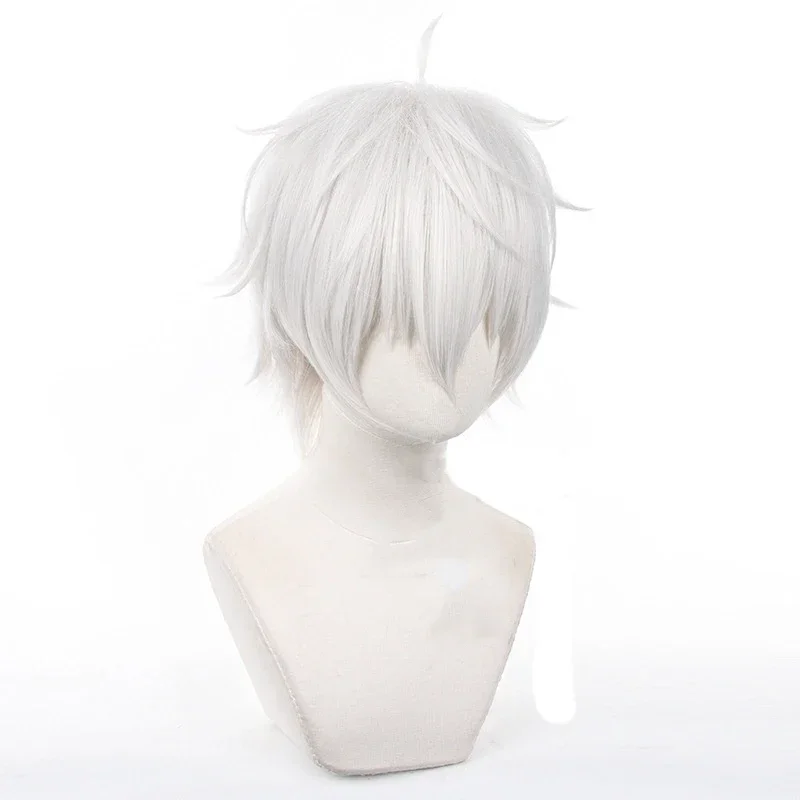애니메이션 세이시로 나기 코스프레 가발 실버 화이트 3 - Cosplay Anime White Hair 리뷰 및 가격