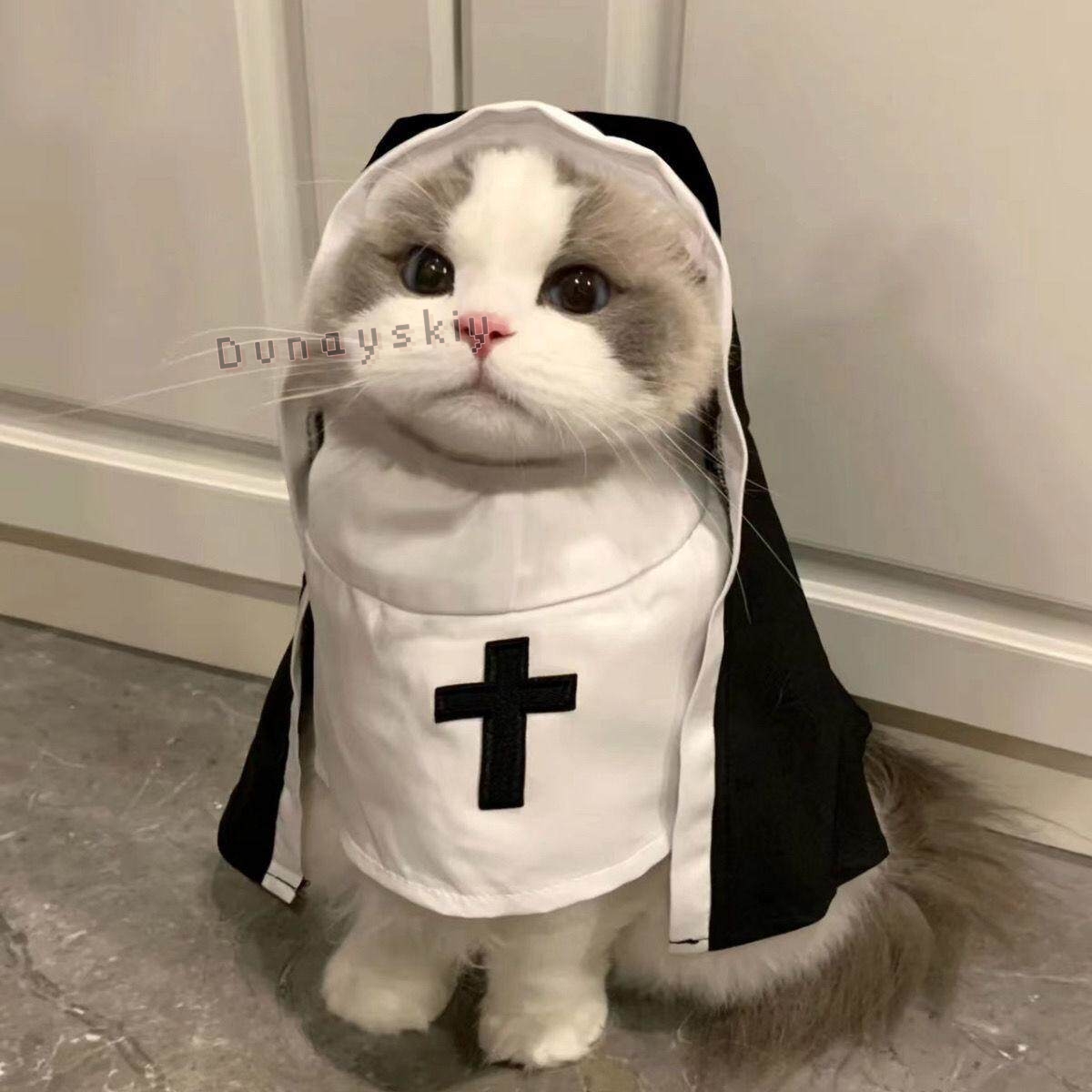 크리스마스 애완견 고양이 코스프레 의상 통기성 애완동물 - Anime Cosplay Nun 리뷰 및 가격