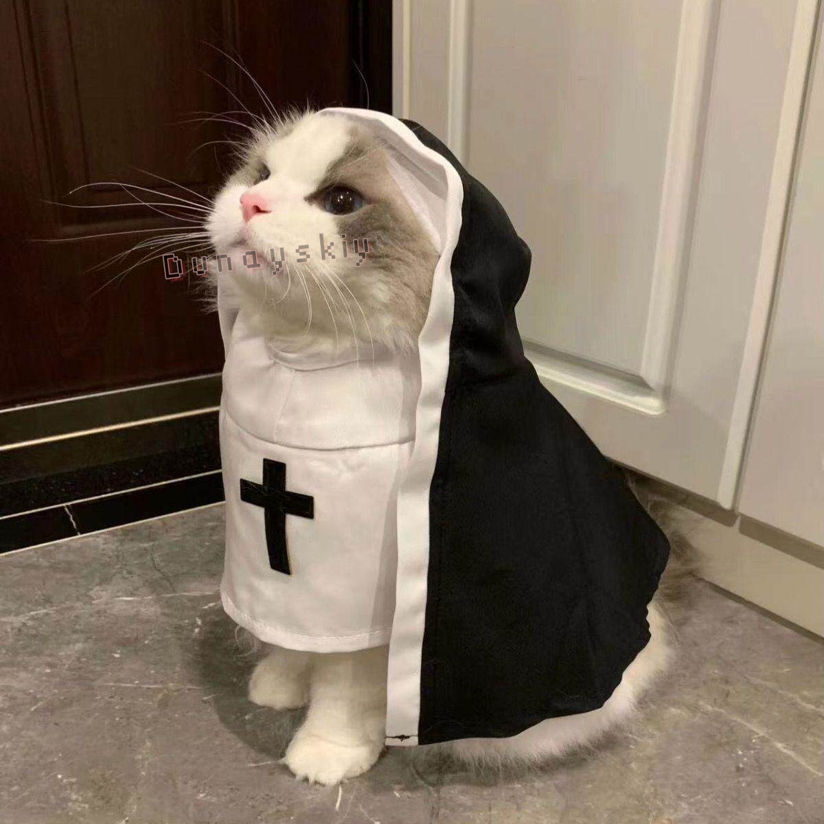 크리스마스 애완견 고양이 코스프레 의상 통기성 애완동물 - Anime Cosplay Nun 리뷰 및 가격