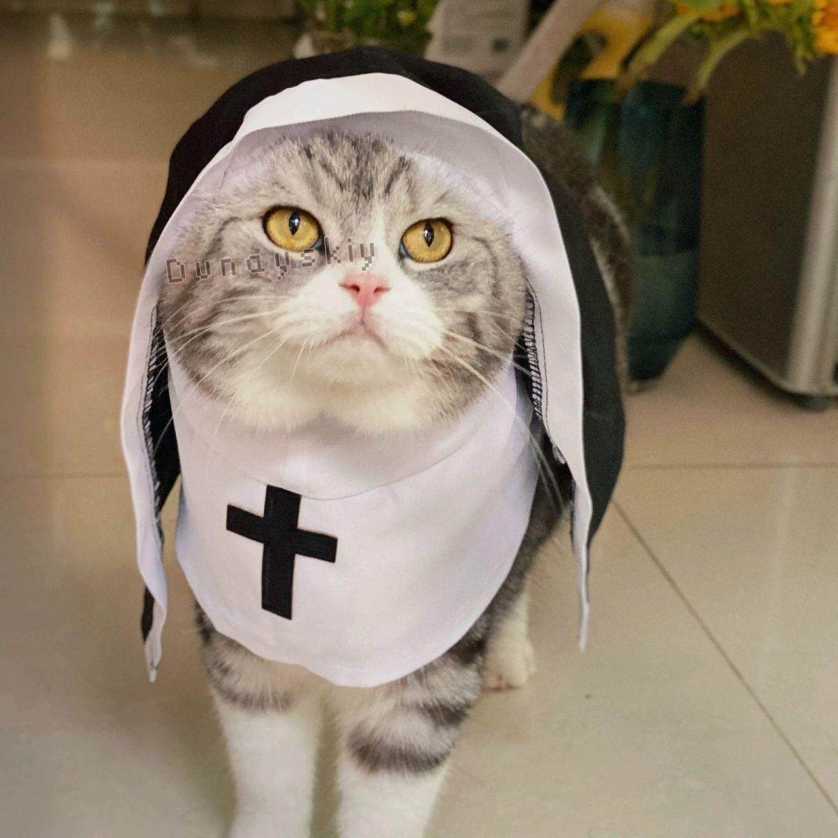 크리스마스 애완견 고양이 코스프레 의상 통기성 애완동물 - Anime Cosplay Nun 리뷰 및 가격