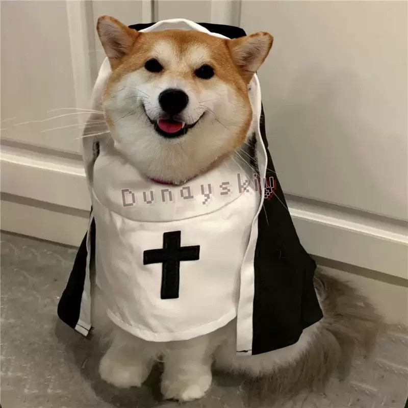 크리스마스 애완견 고양이 코스프레 의상 통기성 애완동물 - Anime Cosplay Nun 리뷰 및 가격