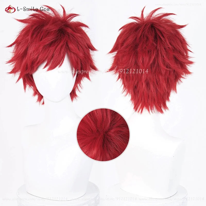애니메이션 레인하르트 반 아스트리아 코스프레 30cm  - Anime Cosplay Nun 리뷰 및 가격
